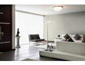 A.S Creation Farben PURO c7007 mellow brown Creme Dispersion   DD126025V