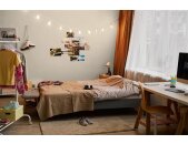 A.S Creation Farben PURO c7008 mellow brown Beige Dispersion   DD126028V