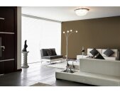 A.S Creation Farben PURO c7012 mellow brown Braun Dispersion   DD126040V