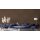 A.S Creation Farben PURO c7020 soothing brown Braun Dispersion   DD126064V