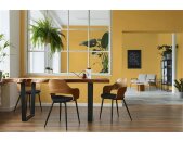 A.S Creation Farben PURO c8005 sunny yellow Gelb Dispersion   DD126109V