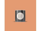 A.S Creation Farben PURO c9002 dusty orange Orange Dispersion 1 Liter DD126145