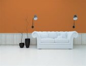 A.S Creation Farben PURO c9003 dusty orange Orange Dispersion 1 Liter DD126148