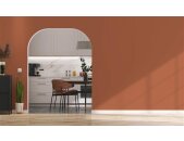 A.S Creation Farben PURO c9005 dusty orange Rot, Orange Dispersion   DD126154V