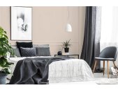 A.S Creation Farben PURO c9010 diverse apricot Beige Dispersion 2,5 Liter DD126170