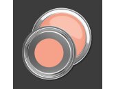 A.S Creation Farben PURO c9014 diverse apricot Rosa Dispersion   DD126181V