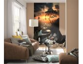 2531N-81 Tapeten Erismann Zooom Digitaltapete