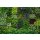 2227-10 Tapeten Erismann Zooom Digitaltapete