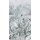2546N-82 Tapeten Erismann Fashion for walls 4 Digitaltapete