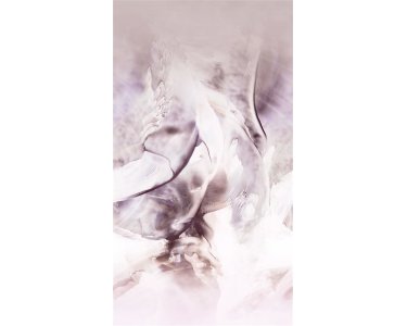 2550N-82 Tapeten Erismann Fashion for walls 4 Digitaltapete