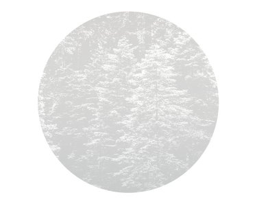 2553N-71 Tapeten Erismann Fashion for walls 4 Digitaltapete