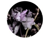 2555N-71 Tapeten Erismann Fashion for walls 4 Digitaltapete