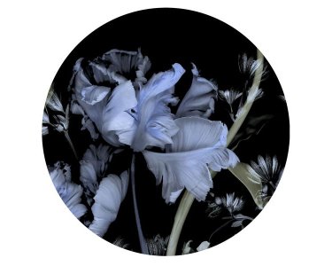 2555N-72 Tapeten Erismann Fashion for walls 4 Digitaltapete