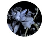 2555N-72 Tapeten Erismann Fashion for walls 4 Digitaltapete