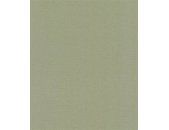 302256 Rasch Textil Bloomsbury Vliestapete Emil & Hugo