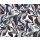 302799 Rasch Textil Bloomsbury Wandbild Emil & Hugo