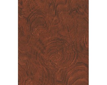 302492 Rasch Textil Contempo Vliestapete Emil & Hugo