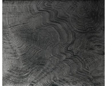 303666 Rasch Textil Contempo Raumbild Emil & Hugo