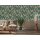 395022 Tapeten A.S Creation Jade 2 Vliestapete