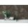 395023 Tapeten A.S Creation Jade 2 Vliestapete