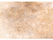301105 Rasch Textil Moana Wandbild