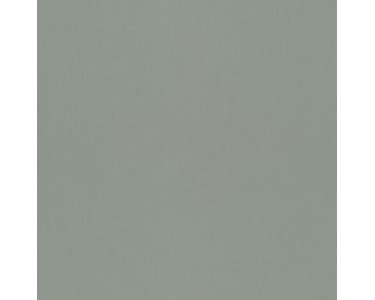 077002 Rasch Textil Fagelsang Vliestapete
