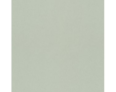 077003 Rasch Textil Fagelsang Vliestapete