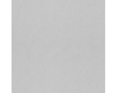 077029 Rasch Textil Fagelsang Vliestapete