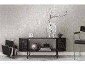AS 395644 Tapeten A.S Creation Farbe Grau Dunkelgrau    Smart Surfaces Vliestapete