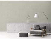AS 395658 Tapeten A.S Creation Farbe Grau     Smart Surfaces Vliestapete