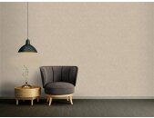 AS 367215 Tapeten A.S Creation Farbe Beige Grau    Smart Surfaces Vliestapete
