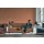 AS 390973 Tapeten A.S Creation Farbe Orange     Retro Chic Vliestapete