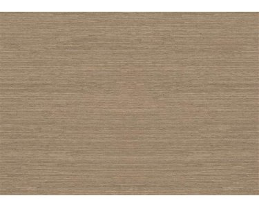 213842 Tapeten Rasch Textil Farbe Beige-beigegold Naturalis Papiertapete