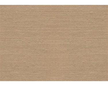 213880 Tapeten Rasch Textil Farbe Gold-Perlgold Naturalis Papiertapete