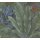 AS 396471 Tapeten A.S Creation Farbe grau Grün Rot Blau  Stories of Life Satintapete