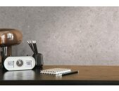AS 396562 Tapeten A.S Creation Farbe Beige Braun    Stories of Life Profiltapete