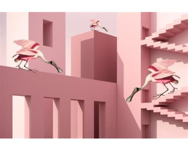 AS Digital Wandbilder Farbe Rosa  Pink    Walls by patel 4 fable