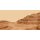 AS Digital Wandbilder Farbe Braun Beige    Walls by patel 4 luke