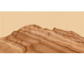 AS Digital Wandbilder Farbe Braun Beige    Walls by patel...