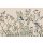 AS Digital Wandbilder Farbe Beige Grün Braun Blau  Walls by patel 4 merula