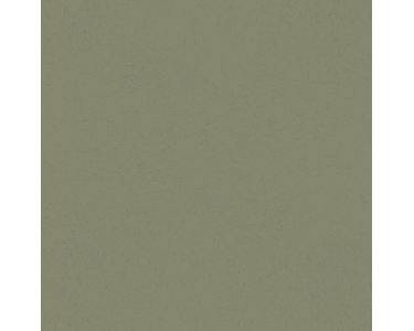 077007 Rasch Textil Grün-oliv Hidden Treasures Vliestapete