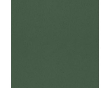 077001 Rasch Textil Grün Hidden Treasures Vliestapete