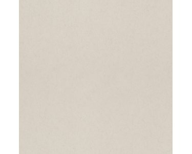 077020 Rasch Textil Taupe Hidden Treasures Vliestapete