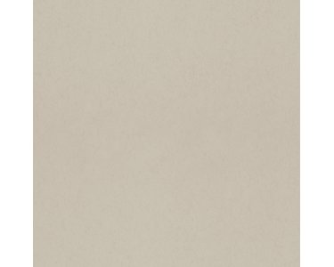 077022 Rasch Textil Taupe Hidden Treasures Vliestapete