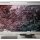 AS Digital Wandbilder Farbe Rosa Grau Grau   Walls by patel 4 livia