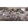 AS Digital Wandbilder Farbe Beige Weiß Grau   Walls by patel 4 skye 1