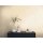 AS 395614 Tapeten A.S Creation Farbe Beige Gelb Gold Metallic Elements II Vliestapete