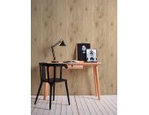 AS 300434 Tapeten A.S Creation Farbe Braun Beige   Elements II Vinyltapete