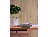 AS 300434 Tapeten A.S Creation Farbe Braun Beige   Elements II Vinyltapete