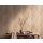 AS 300434 Tapeten A.S Creation Farbe Braun Beige   Elements II Vinyltapete